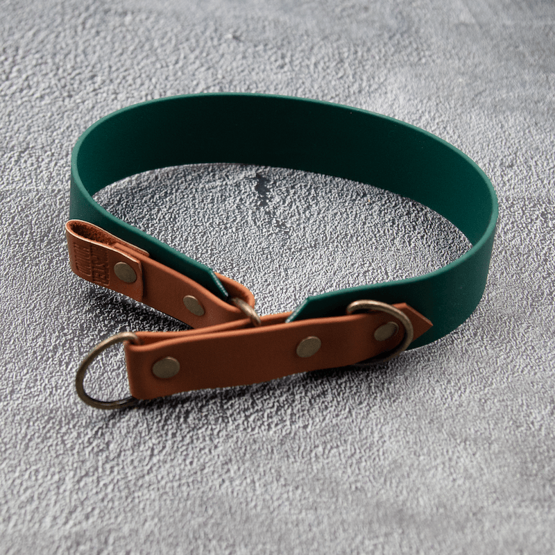 Controlled Slip - hundehalsbånd - HipsterHound